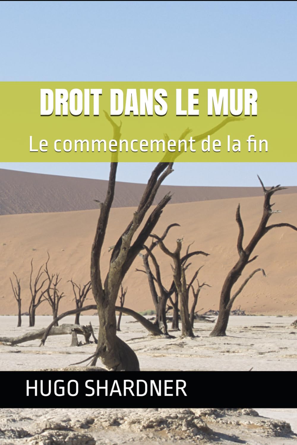 DROIT DANS LE MUR: Le commencement de la fin