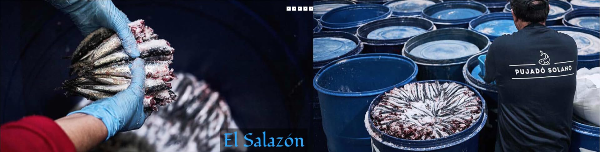 Anchoas del Cantábrico de Costera en Aceite de Girasol: Del Mar a tu Paladar en un Tarro de Cristal 2/4 de 220 g.