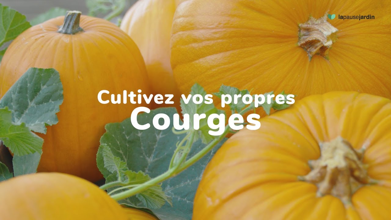 FERTILIGENE NATUREN POEROS7 Engrais Granulés Rosiers Arbustes à Fleurs 700g - Résultats Dès 7 Jours