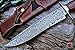 BIGCAT ROAR Handmade Damascus Hunting Knife - Bushcraft Fixed Blade Hunting Knife with Sheath and Walnut Wood Handle - 15″ EDC Skinning Knife - Screaming Eagle