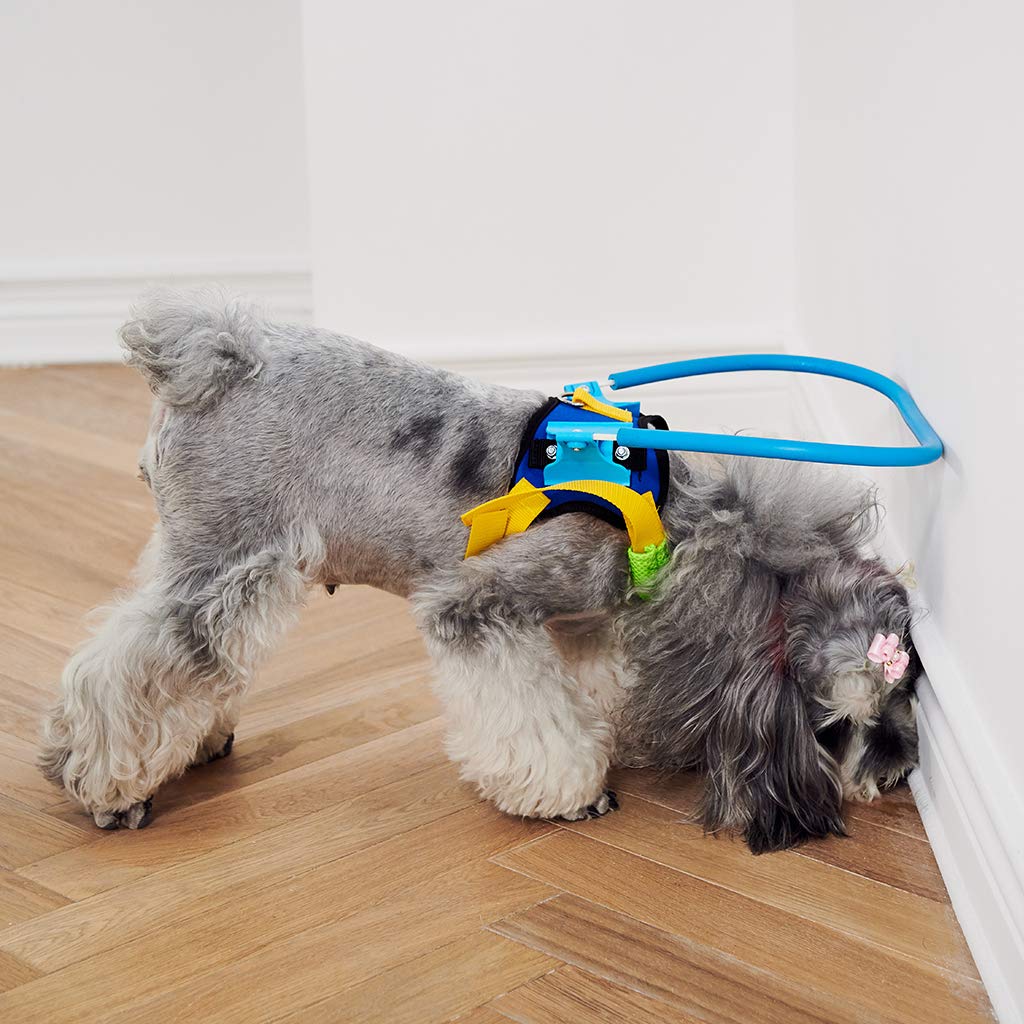 Protector Parachoques Perros Ciegos Dispositivo De Guía De Arnés Para Perros Ciegos, Perro Ciego Halo, Anillo