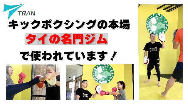 Amazon | 【名門ジムでも愛用】パンチングミット パンチング グローブ