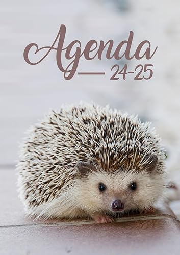 Agenda Scolaire 2024 2025: Hérisson | Journalier (une page par jour) | 12x17 cm | Format A5 | Couverture souple | sept 2024 – juil 2025 | Collège et ... kawaii et mignon | Pour filles et garçons