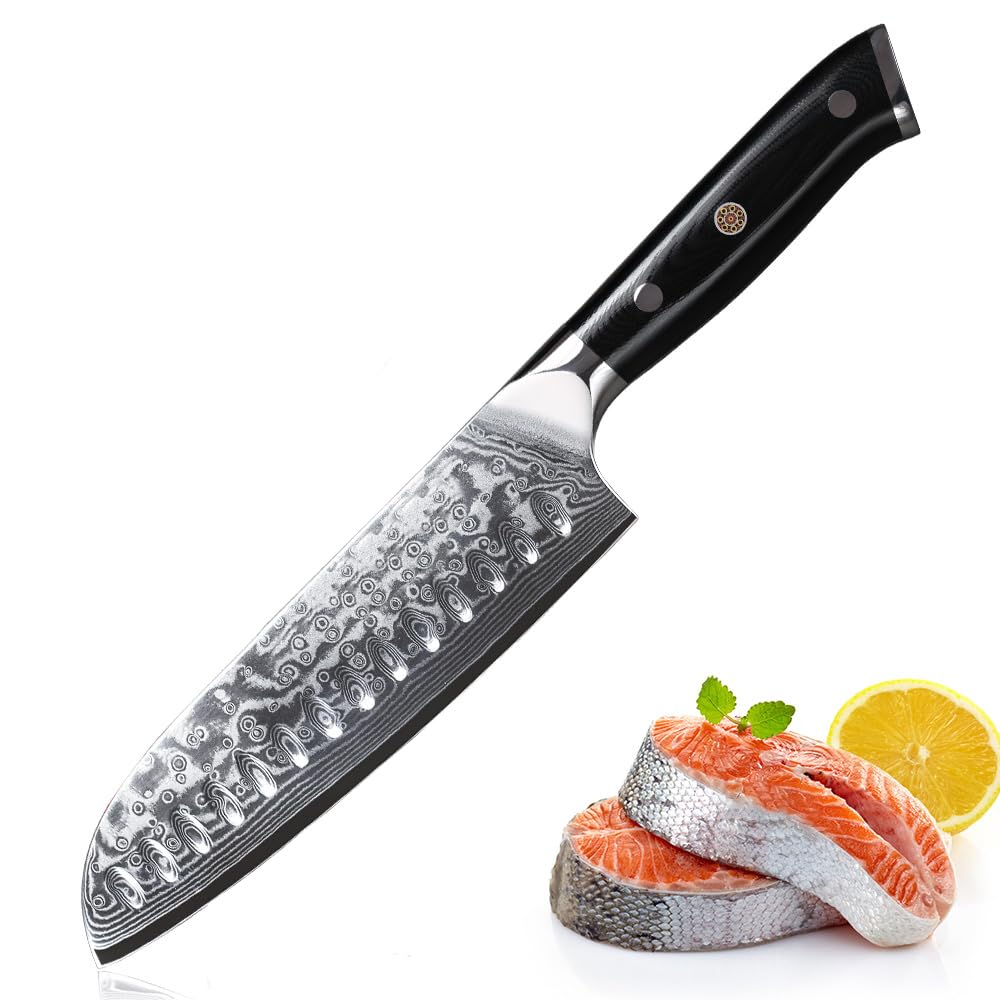LIUZHANGYU Damascus Santoku Knife for Kitchen - 7 Inch Extra Sharp Japanese Chef Knife with 67-layer Damascus Steel VG-10 Blade and Ergonomic G10 Glass Fiber Handle, Sliver