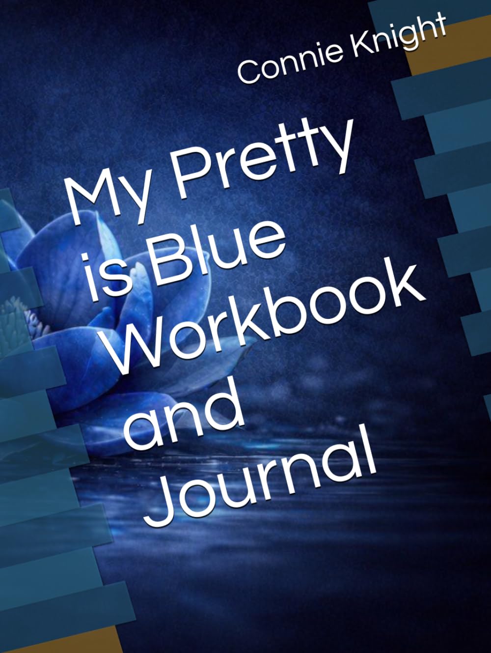My Pretty is Blue Workbook and Journal