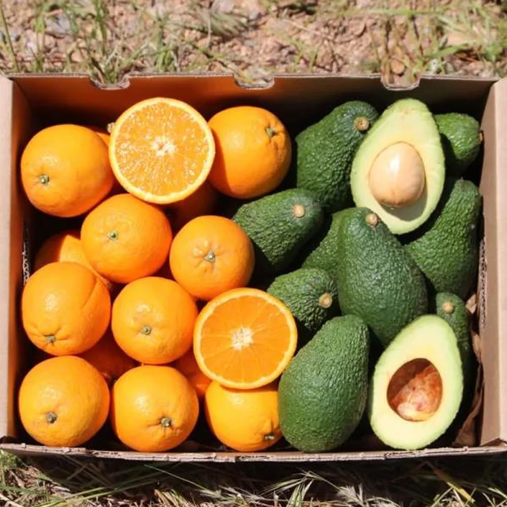 Boîte d'avocat hass et oranges | 2 kg d'avocat hass et 2 kg d'oranges, cultivées de manière durable, et expédiées directement du champ à votre maison, garantissant fraîcheur et saveur