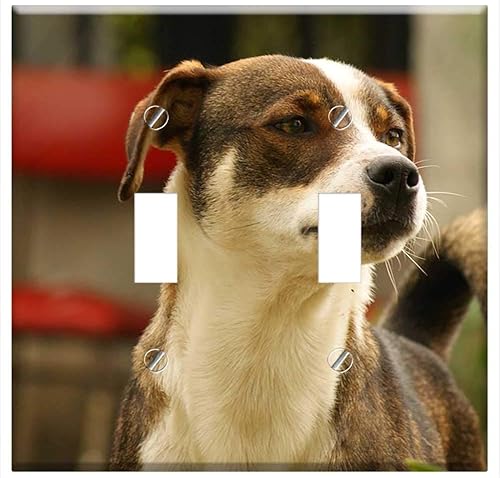 Interruptor Placa Doble Palanca - Naturaleza El Campo Quindio Colombia disponible en Yaxa Costa Rica