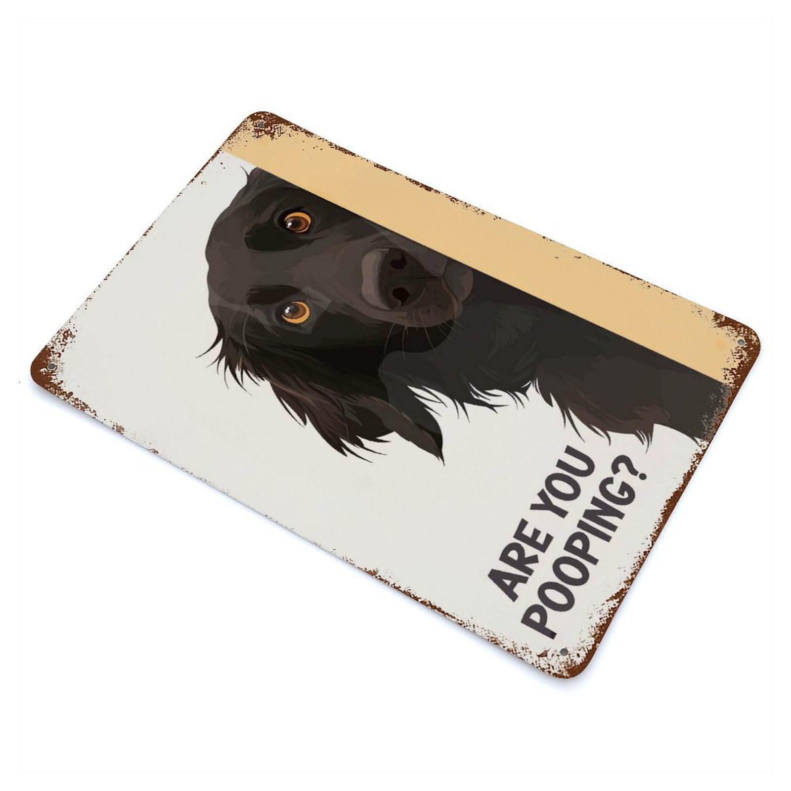 Retro Metal Sign with Are You Pooping Flattie Design 11.8"x7.9", for Living Room, Hallway And Home Decor, Farmhouse Wall Decor