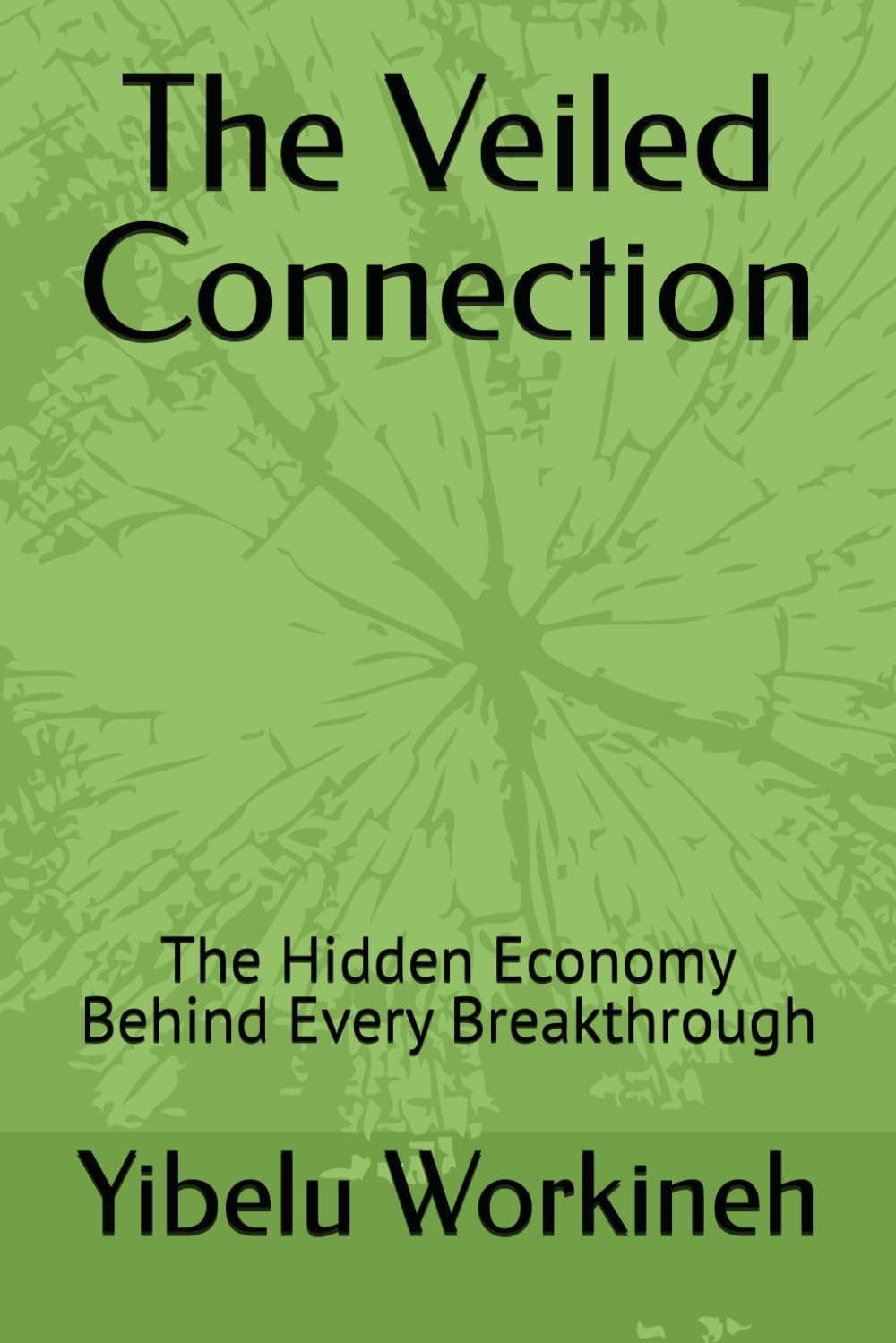 The Veiled Connection: The Hidden Economy Behind Every Breakthrough