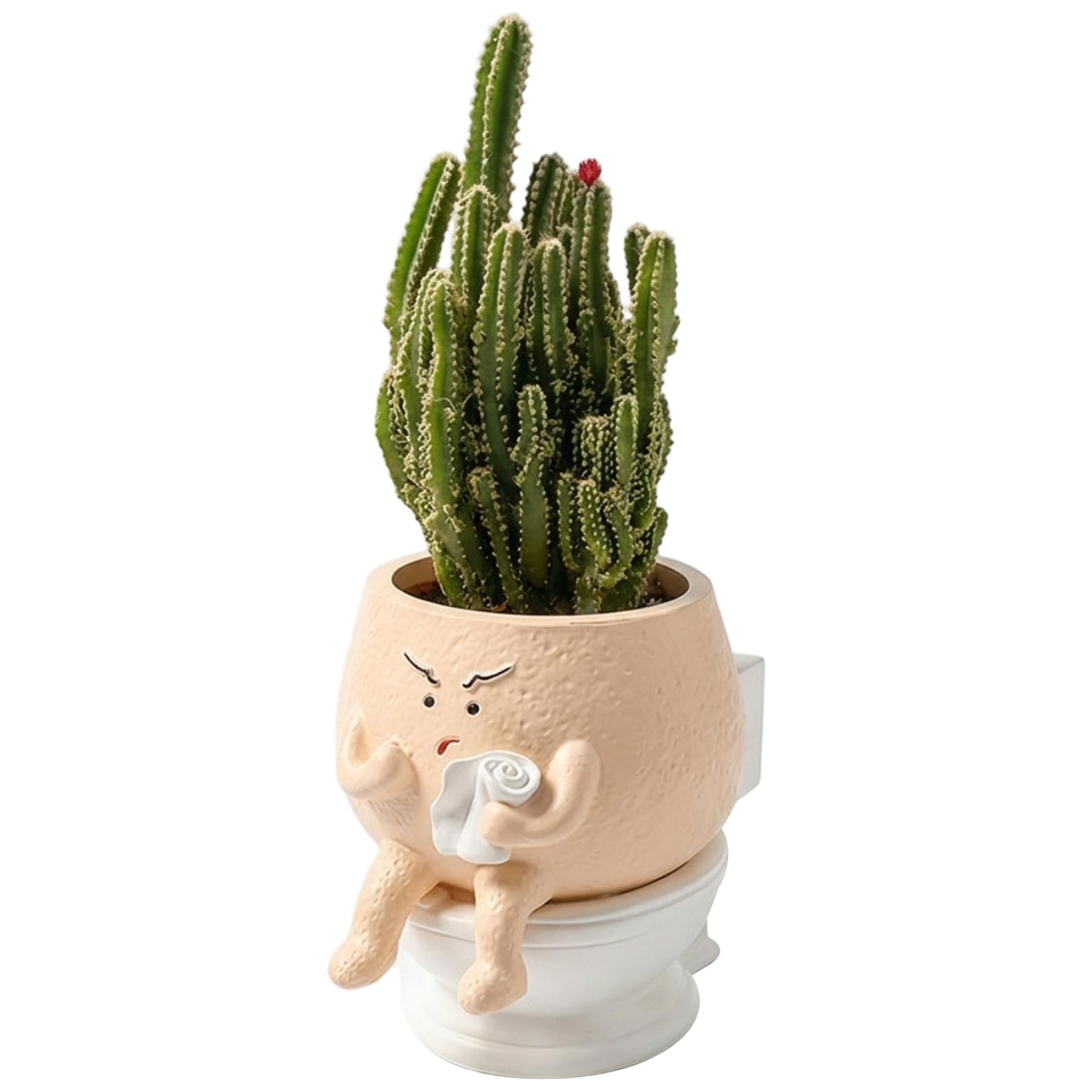 Jardinière de toilettes avec visage mignon en résine pour petites plantes vertes et succulentes