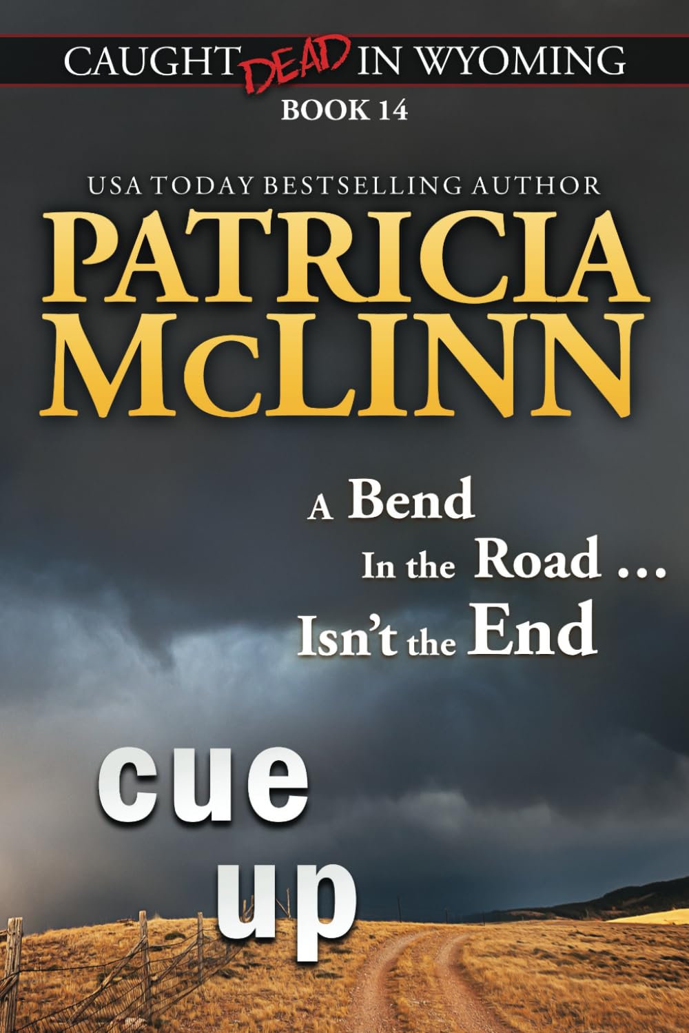 Buy Cue Up (Caught Dead in Wyoming, Book 14) — BookShops.in
