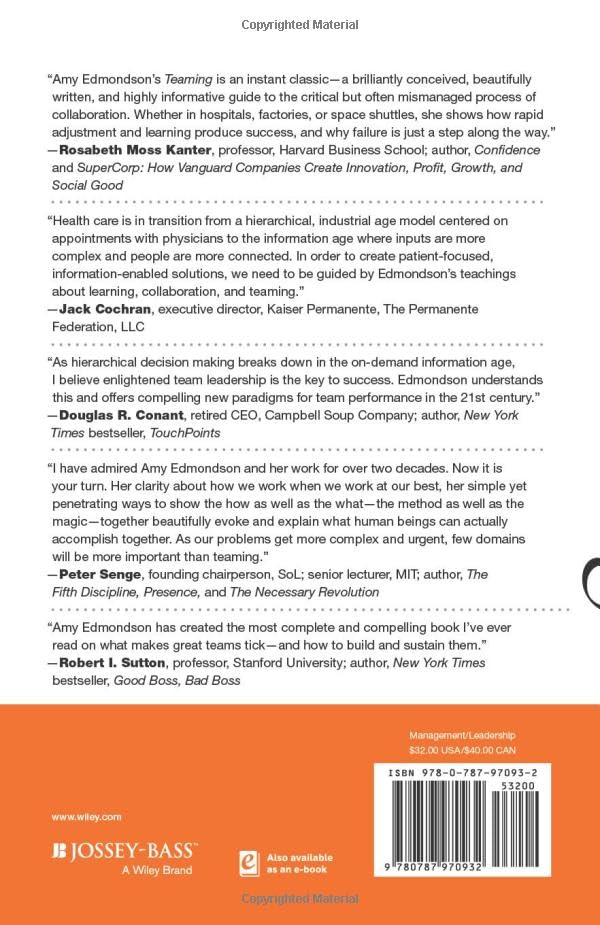 Teaming: How Organizations Learn, Innovate, and Compete in the Knowledge Economy - Image 2