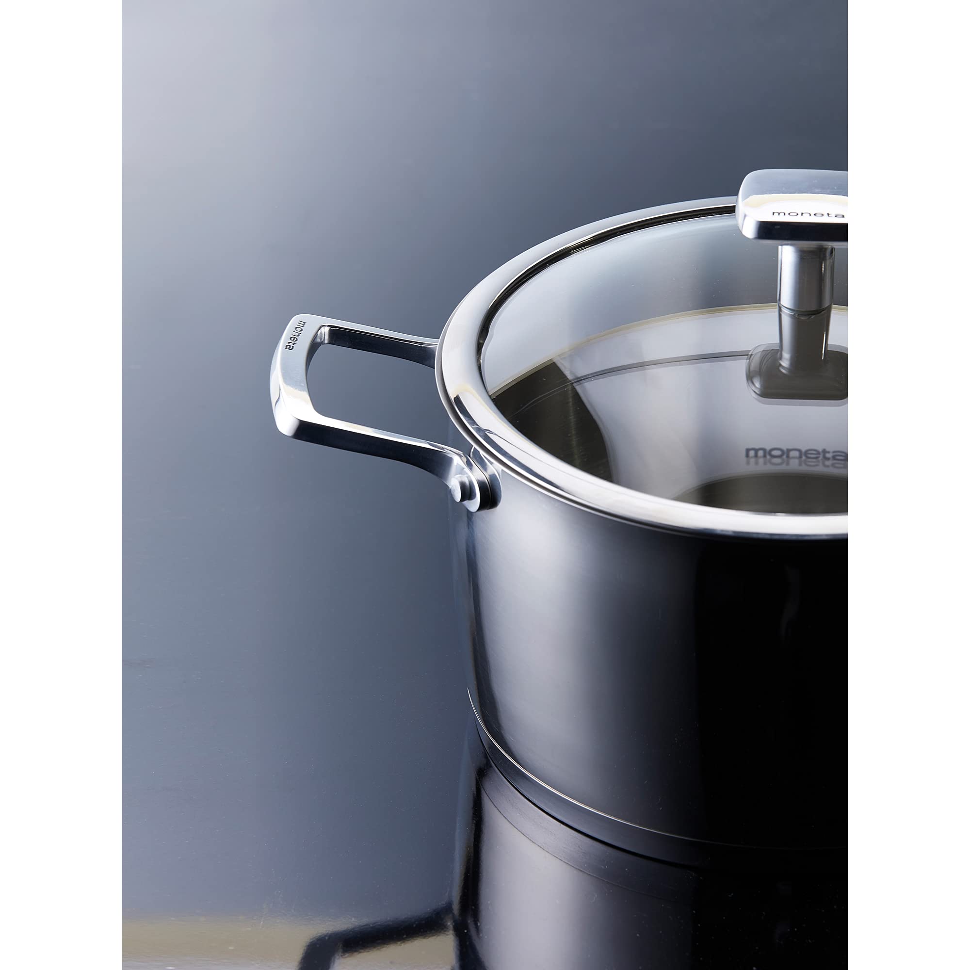 Moneta Accordo Inox Cazo de Inducción con Tapa de Cristal y 2 Asas, Revestimiento Exterior de Acero Inoxidable Cepillado, Apto para Todas las Cocinas, Apto para el Lavavajillas, 22 cm