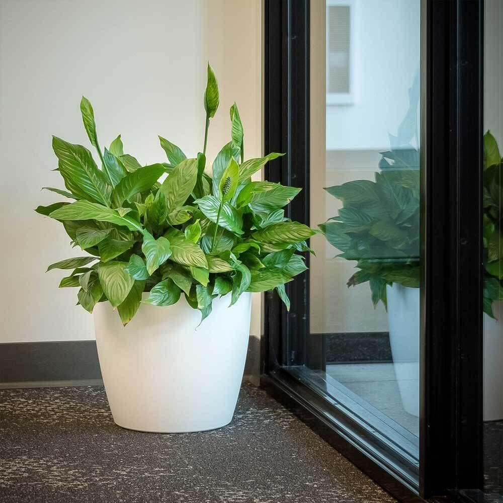 Amazon.com : Greenline Manufacturing Memphis 18" Round Indoor Floor Planter  Pot  Lightweight & Durable Plastic, Modern Design, Made in USA, Recyclable  Large Plant Container for Home & Office Dcor (White) :