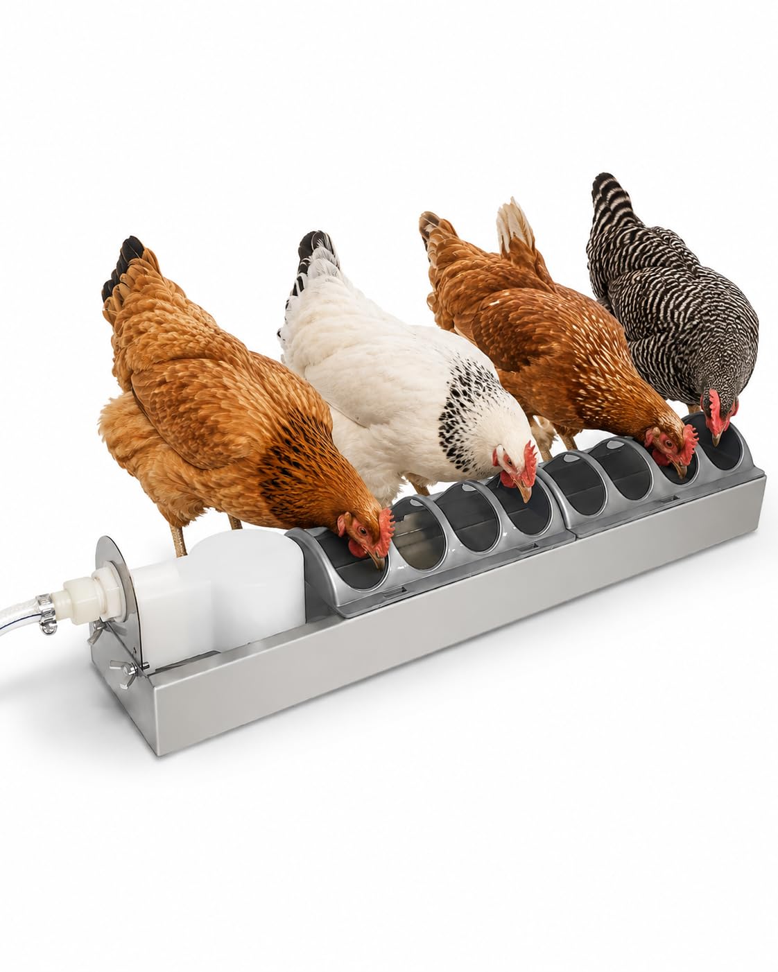 Abbeveratoio Automatico per Galline con Valvola A Galleggiante Distributore Acqua per Pollame Livello Costante per Polli Anatre Pulcini Pollaio Fattoria Accessori Allevamento,Argento,50cm