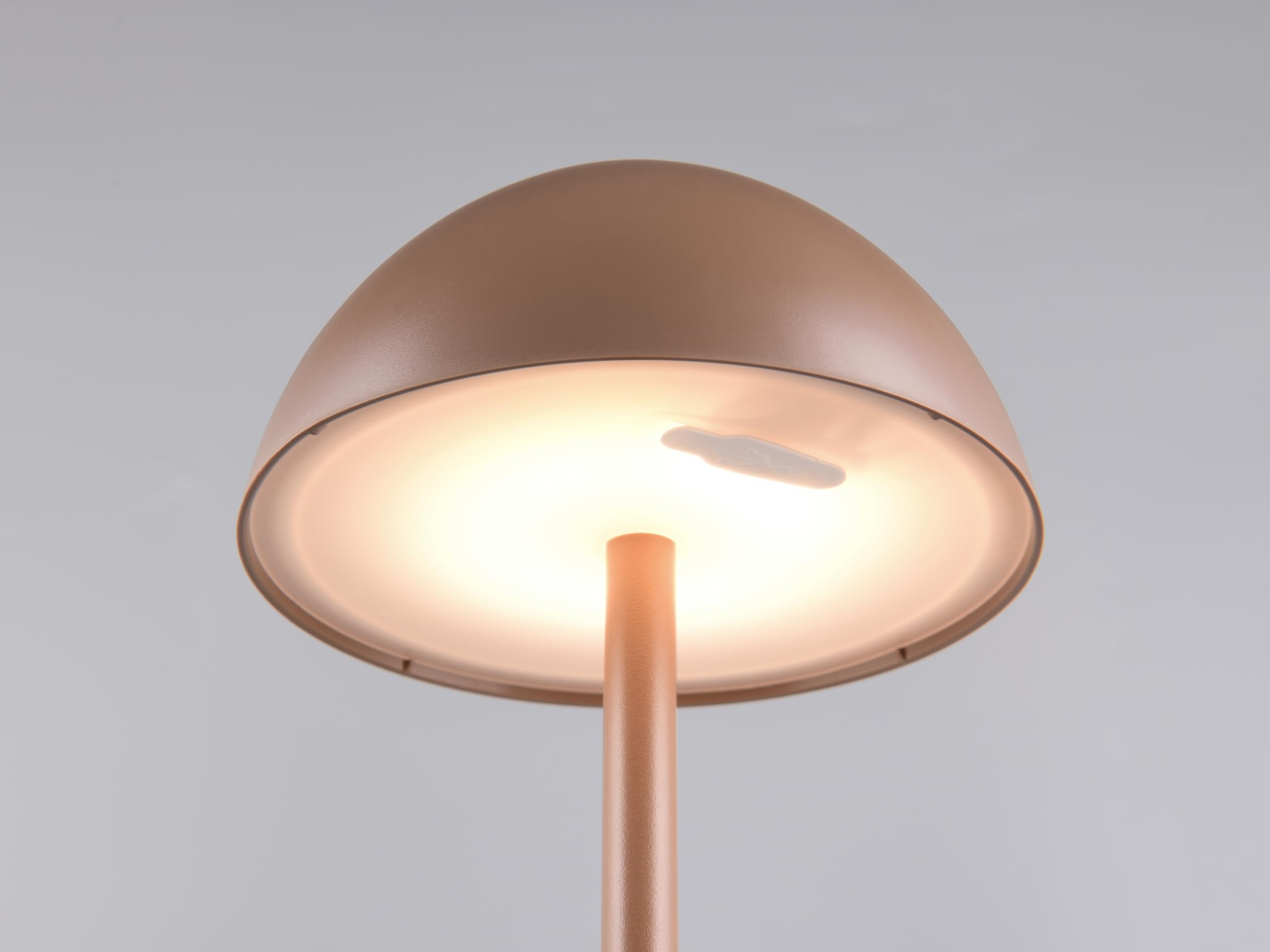 Reality Leuchten Ricardo R54106165 - Lampada da tavolo a LED per esterni, in plastica, con LED da 1,7 Watt, 4 ingressi touch