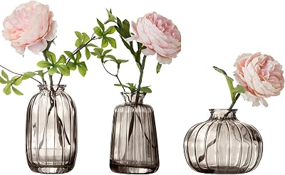 Glasseam Piccolo Vaso In Vetro A Bolle, Trasparente, 15,5 Cm, Per Fiori Recisi E Idrocoltura, Decorazione Da Tavolo