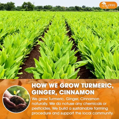 Image of TOG999, Premium 6oz Ginger Turmeric Cinnamon Loose Leaf Herbal Tea - Premium Quality Spiced Herbal Blend - Caffeine-Free, Non-GMO, Natural Dried Roots and Bark. Vegan-Friendly.
