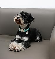 Vista 218 de DOGWONG Collar de perro de San Valentín, collar de perro con estampado de corazones para perros grandes, lindos collares de primavera, hembra