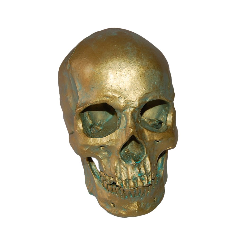 Cráneo Humano de Resina Escultura Decorativa Cabeza Artificial Esqueleto Animal Hecho a Mano Adecuado para Fiestas Enseñanza Y Bar, Bronce Antiguo 1, Individual