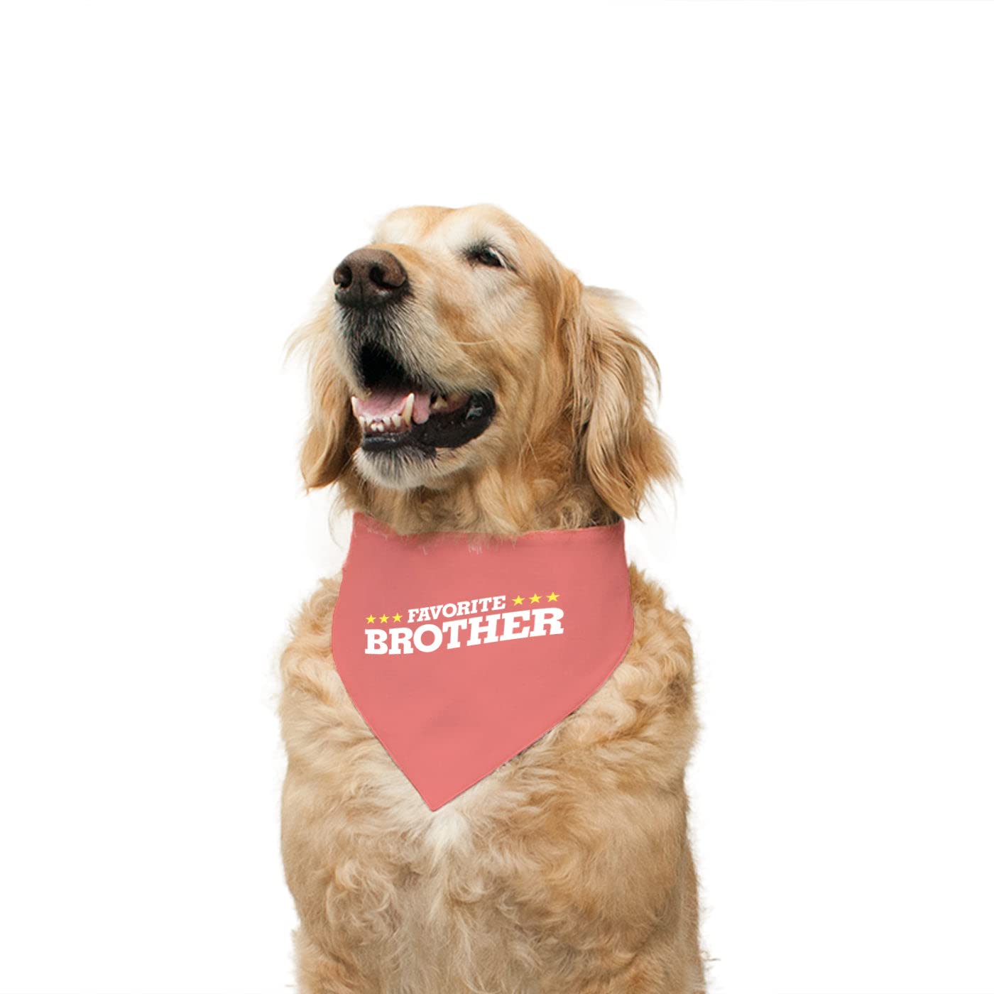 Ruse Reversible Dog Bandana Favourite Brother Printed 100% Cotton Salmon and Wilderness Printed Dog Scarf/Dog Gift Adjustable Snap Button for Dogs/Small (B09RQXGNHF) Amazon Price History, Amazon Price Tracker