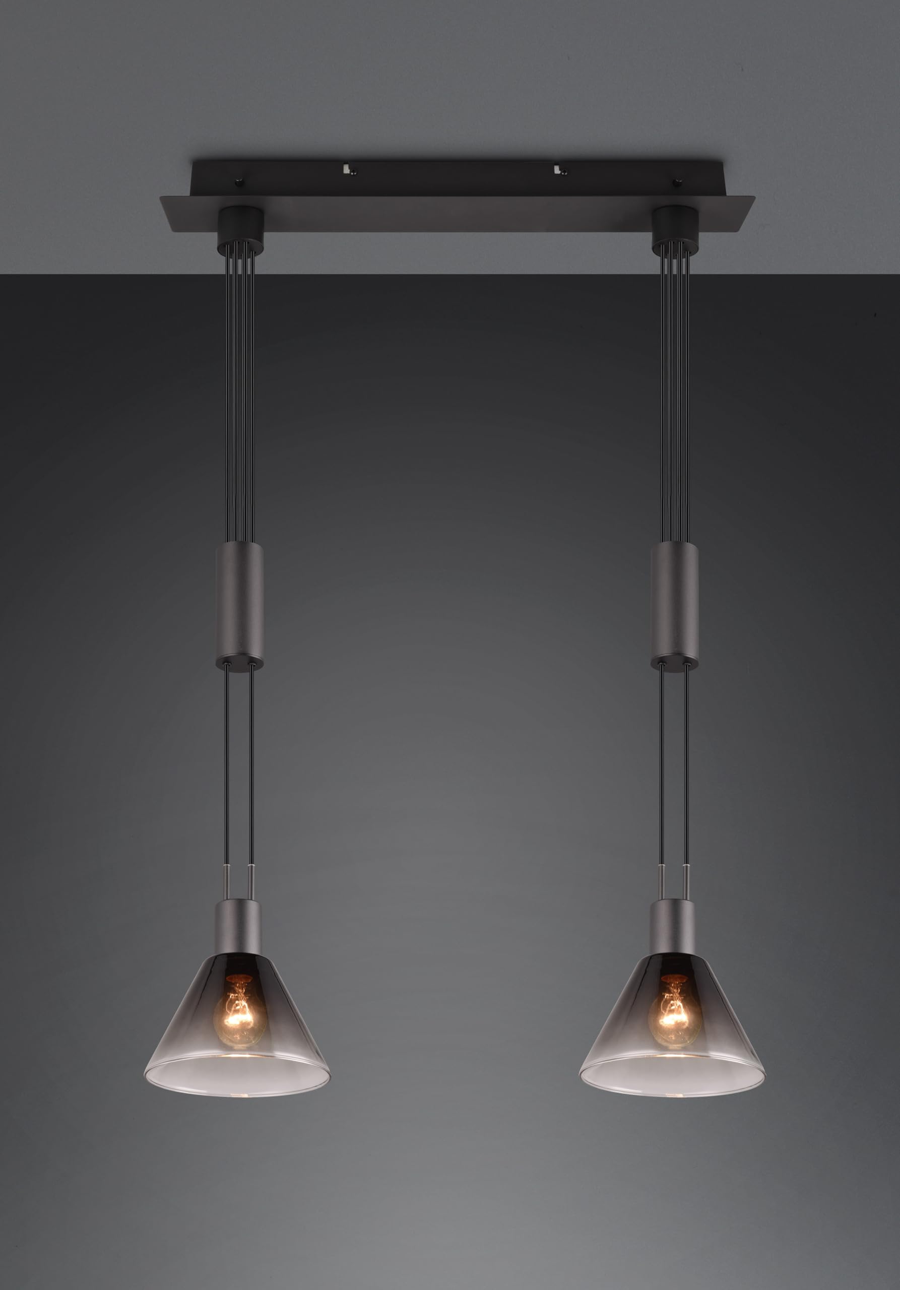 Trio Leuchten Pendelleuchte Stanley 319500232, Metall Schwarz matt, Glas rauchfarbig, exkl. 2x E27