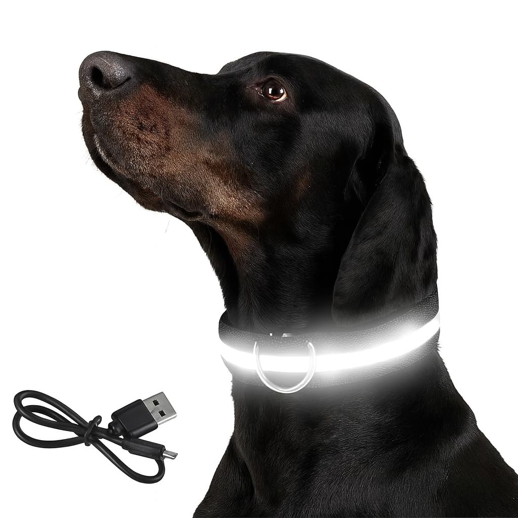 LED Glowing Dog Collar, Adjustable Light Up & Rechargeable Night Safety Collar for Small, Medium, Large Dogs, Waterproof, USB Charging, Glow in The Dark Pet Collar Black USB Charging/XS Neck28-38CM