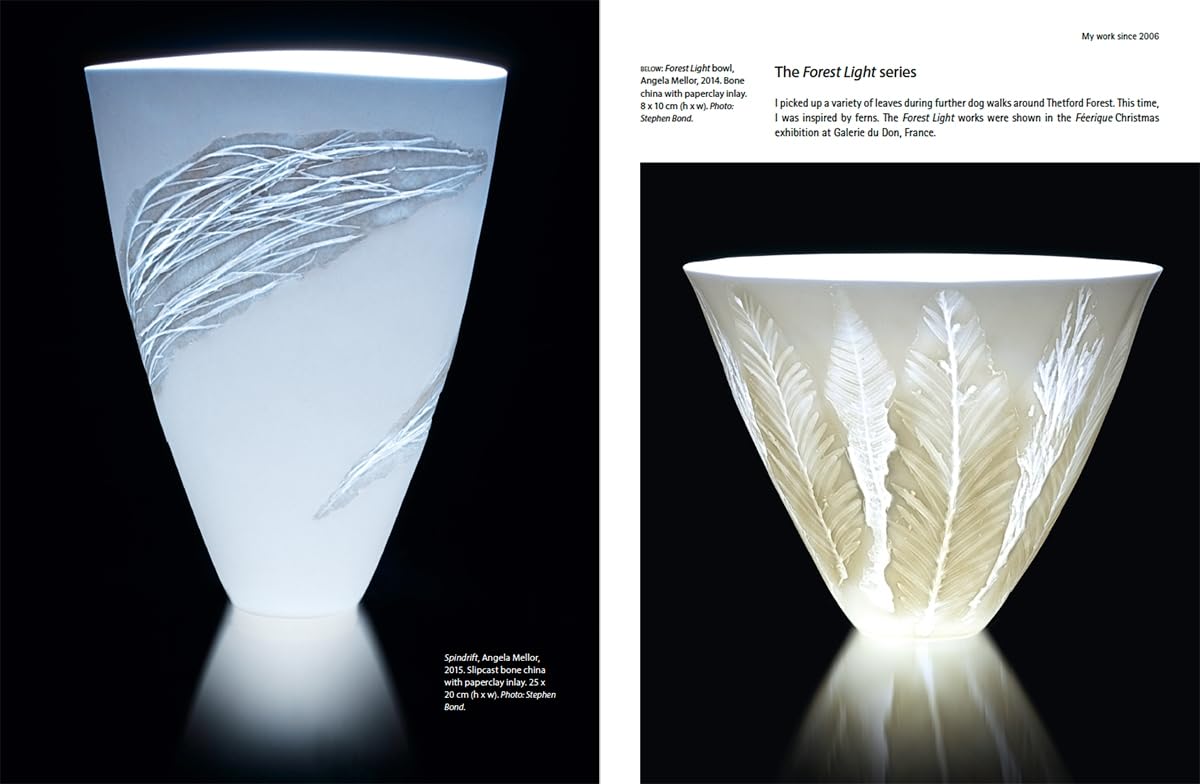 Luminous Clay: Working with Bone China and Porcelain Paperclay (New Ceramics)