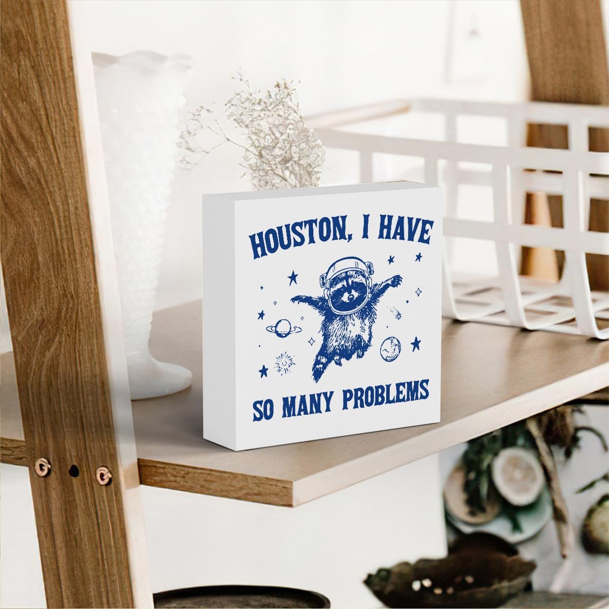 Funny Raccoon Decor Racoon Bathroom Decoration Raccoon Ornament Raccoon Pet lovers Gift Racoon Gifts for Women Men Animal Gifts for Family Friends Wooden Box Sign for Home Office Table Shelf Decor image 5
