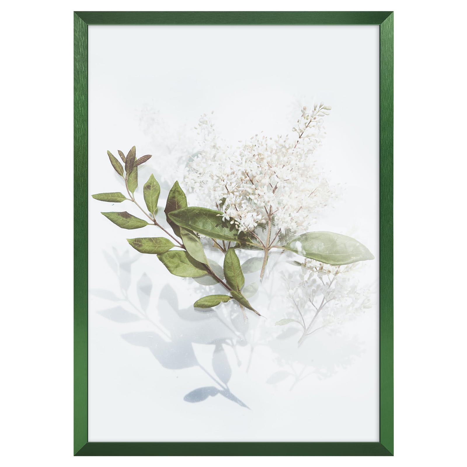 Golden State Art A4 Aluminum Poster Frame Acrylic Front Green