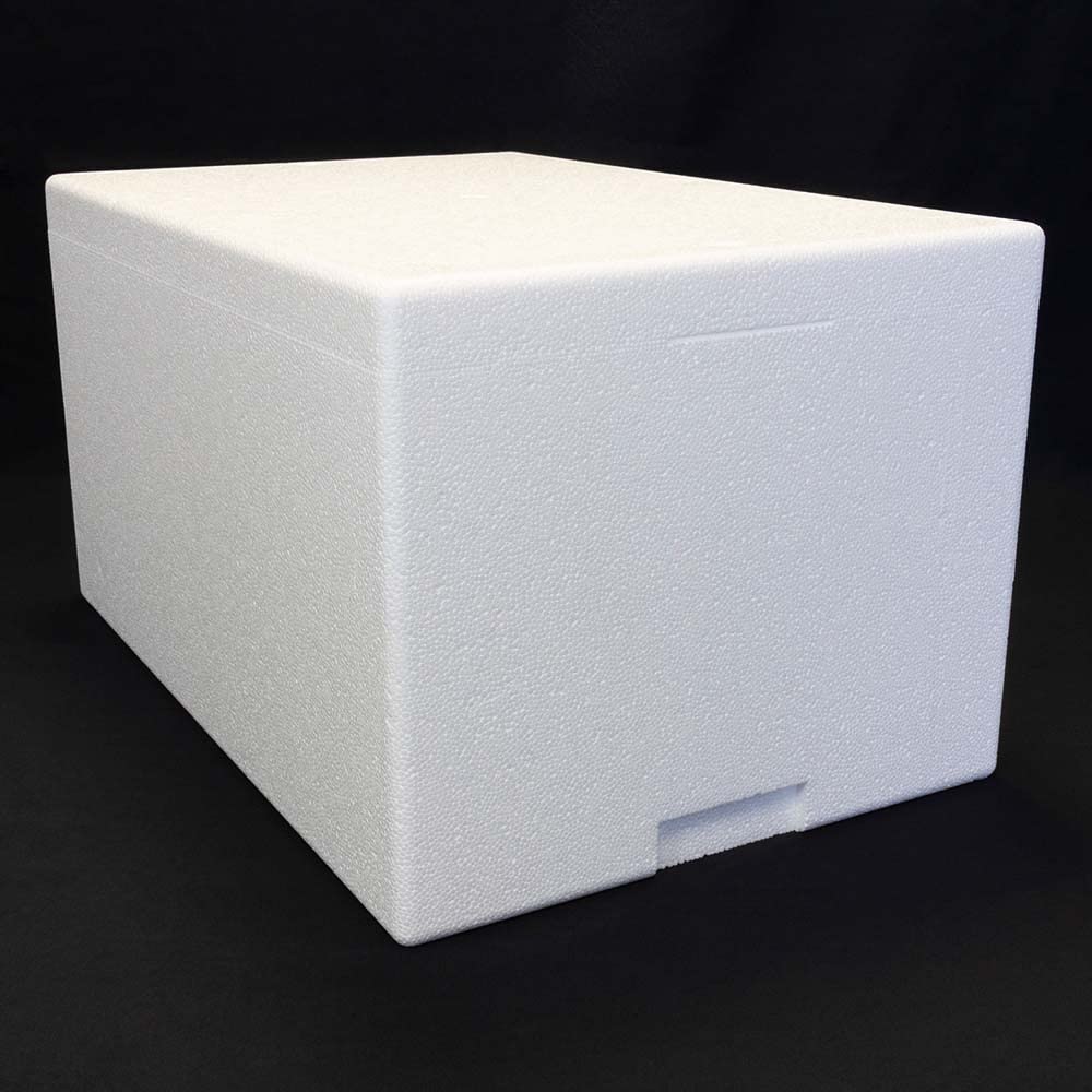 Terra Exotica Styroporbox/Thermobox - 41,5 Liter - 60 x 40 x 33 cm | Wandstärke 4 cm, Styrobox