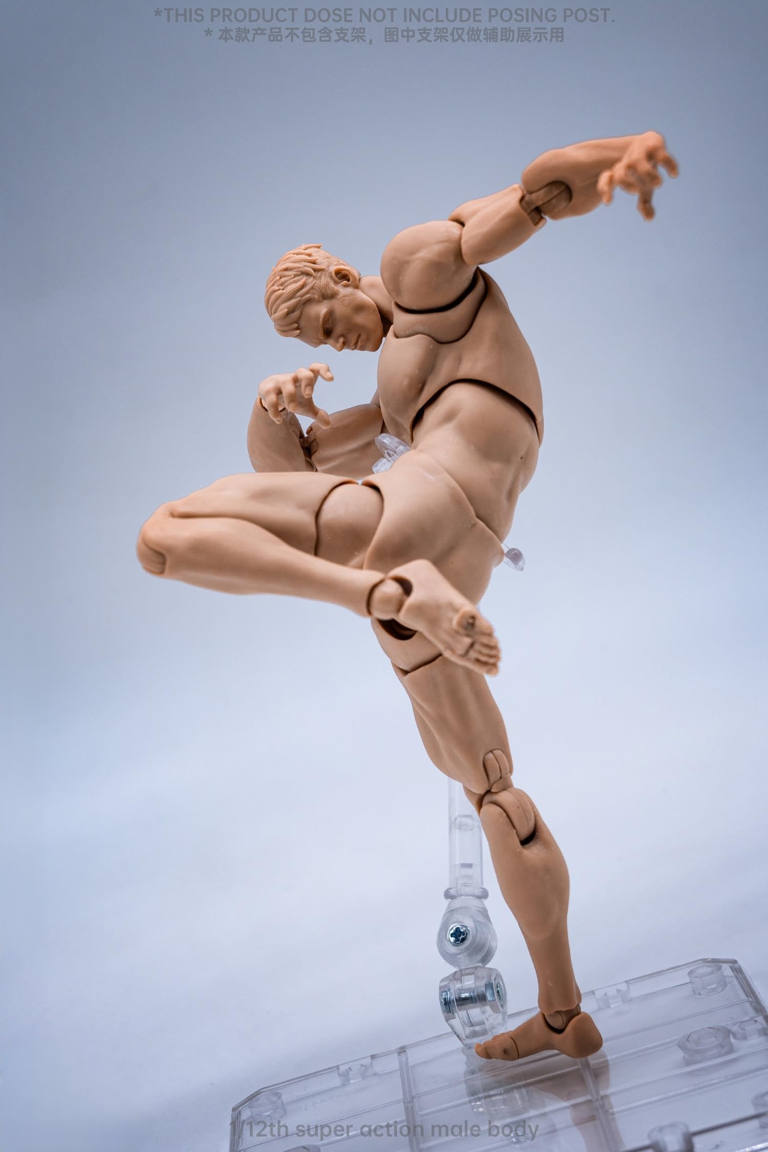 Amazon.com: Lmzauet 1/12 Super Action Male Body for 6 inch Muscle