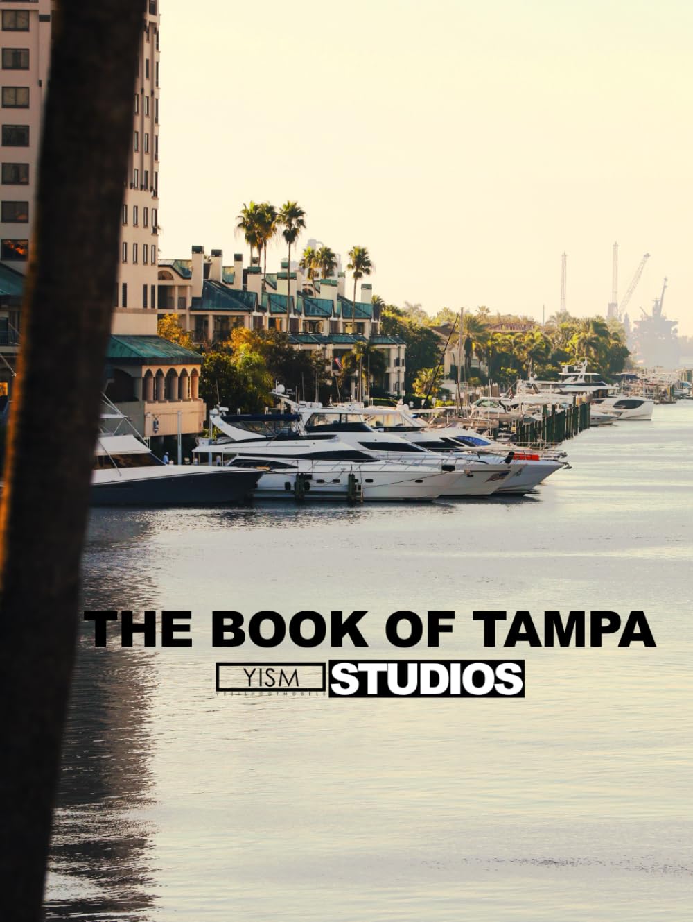 Livre photos Tampa par YISM Studios : l'album d'art incontournable