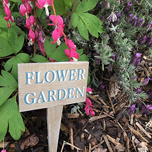 Tutti Decor Gisela Graham Wooden Flower Garden Sign Painted Squat Stake for garden or pots