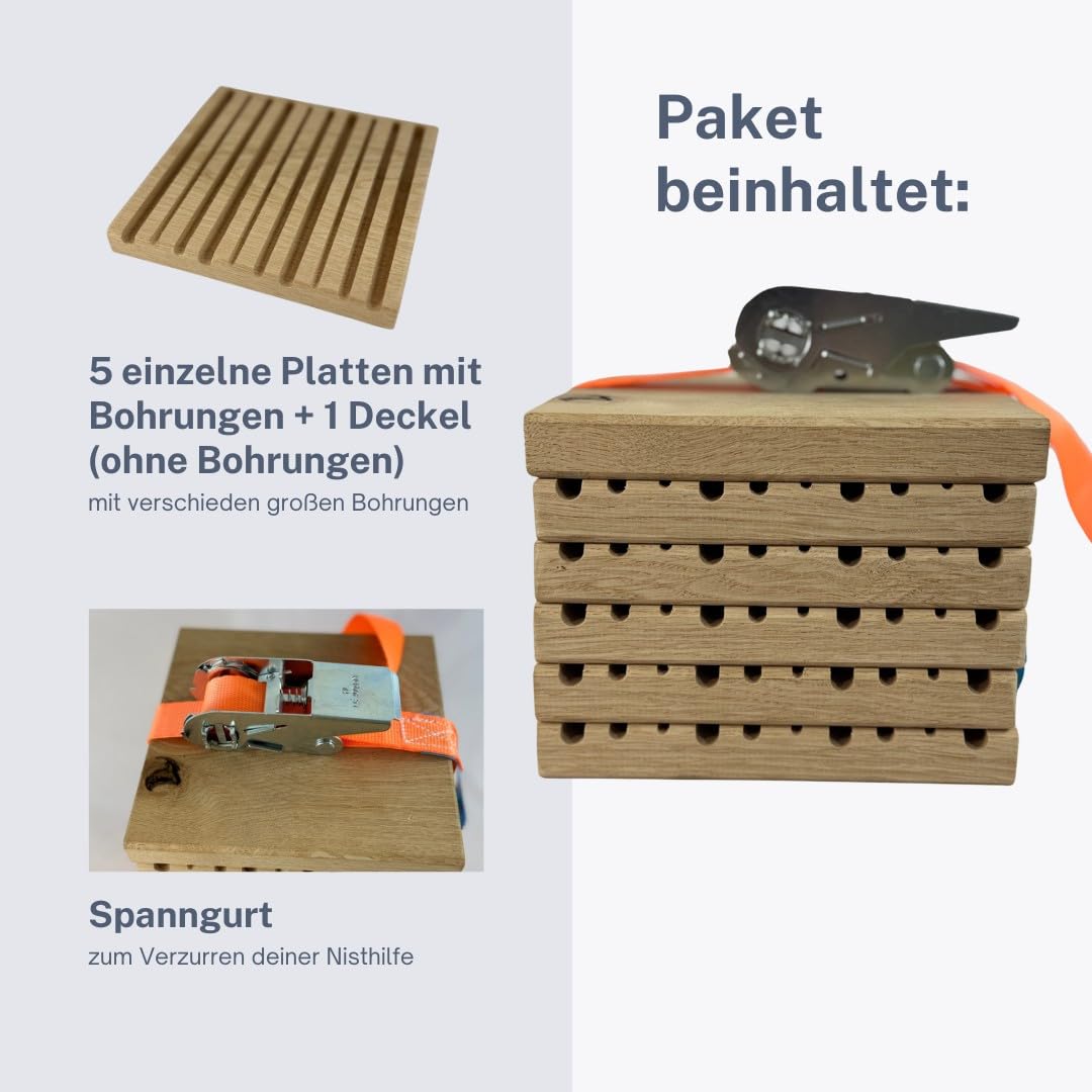 Nistblock für Wildbienen Eiche – Nachhaltige Nisthilfe aus gefrästen Bienenbrettchen – 10 Verschiedene Fräsrillen – Spanngurt inklusive – Insektenhotel für Wildbienen