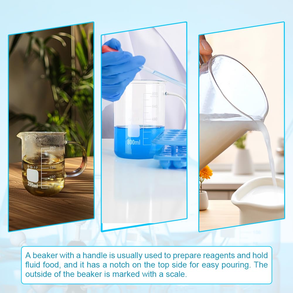 1 becher da laboratorio in vetro borosilicato da 50 ml, 100 ml, 250 ml, 500 ml, 1000 ml con manico, per misurare la bilancia e le attrezzature da laboratorio (500 ml)