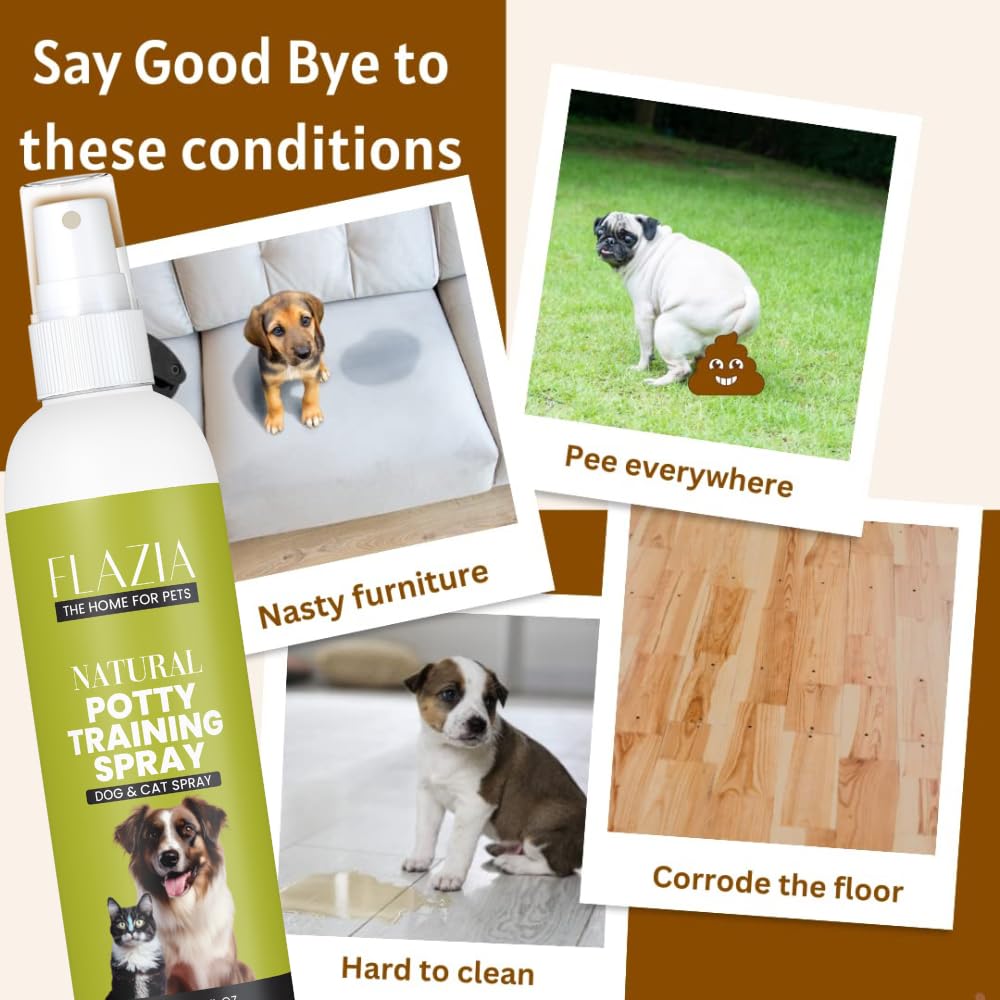 FLAZIA Potty Training Spray - 100ml | Trains The Pet Where to Urinate and Poop | Training Corrector for Puppies and Dogs | Indoor and Outdoor Use | Urine Bad Smell Remover (Pack of 1) 2