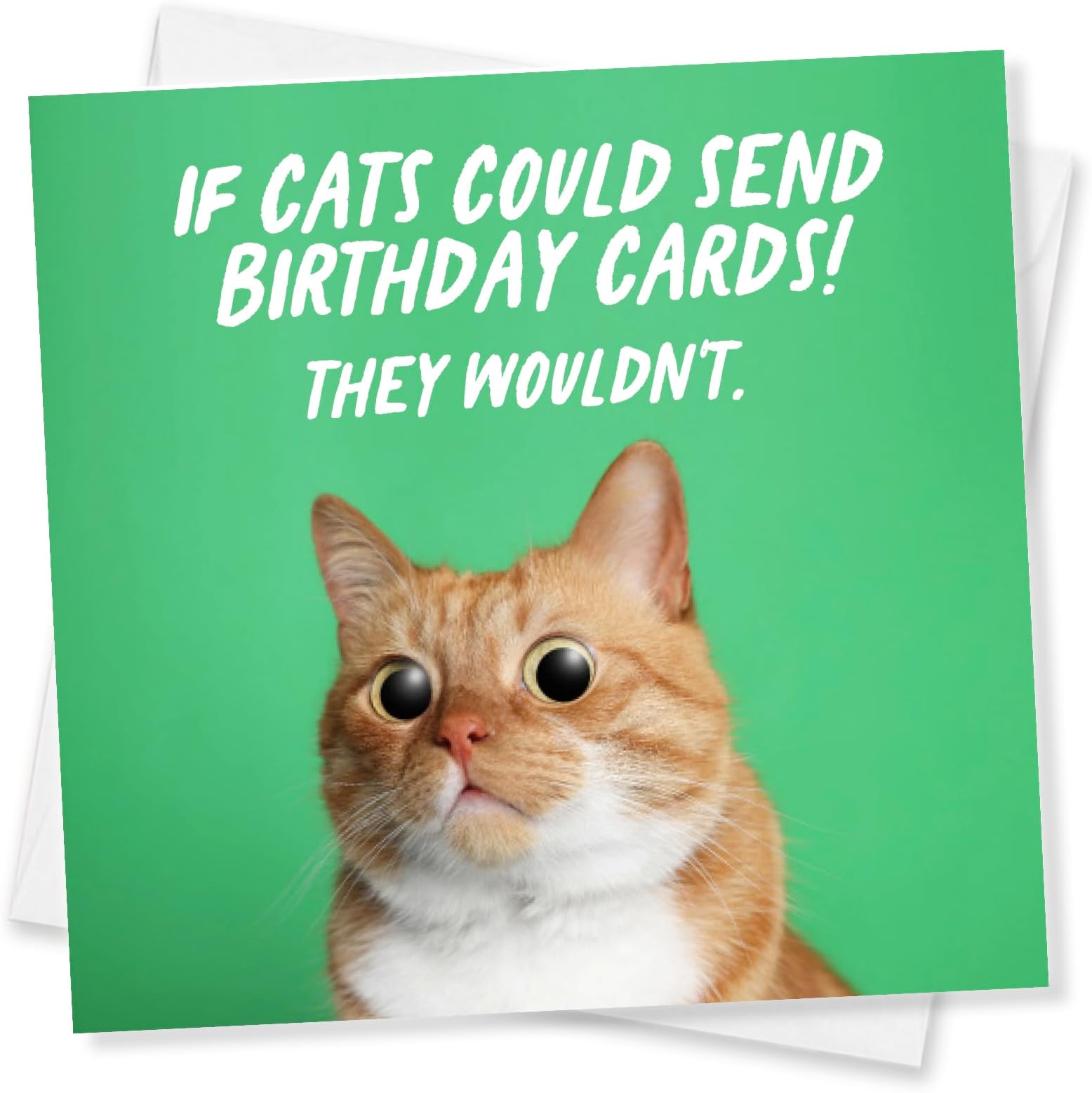 PunkcardsCat Birthday Card, Birthday Cards for Men, funny Birthday Cards for Women, Made in the UK