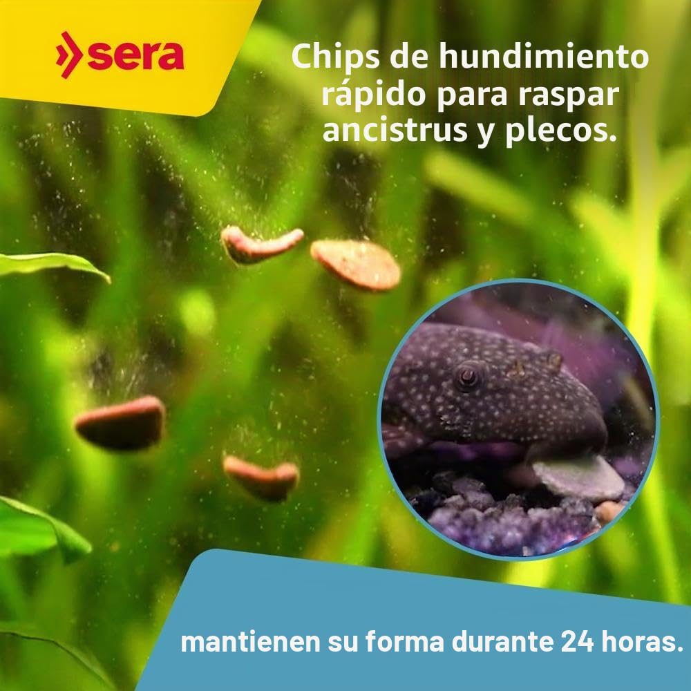 Sera pleco Chips 1 L (380 g) | alimento Principal para ancistrus y loricáridos | Chips Que se Hunden rápidamente para siluriformes raspadores y succionadores | con Fibras para una digestión Sana