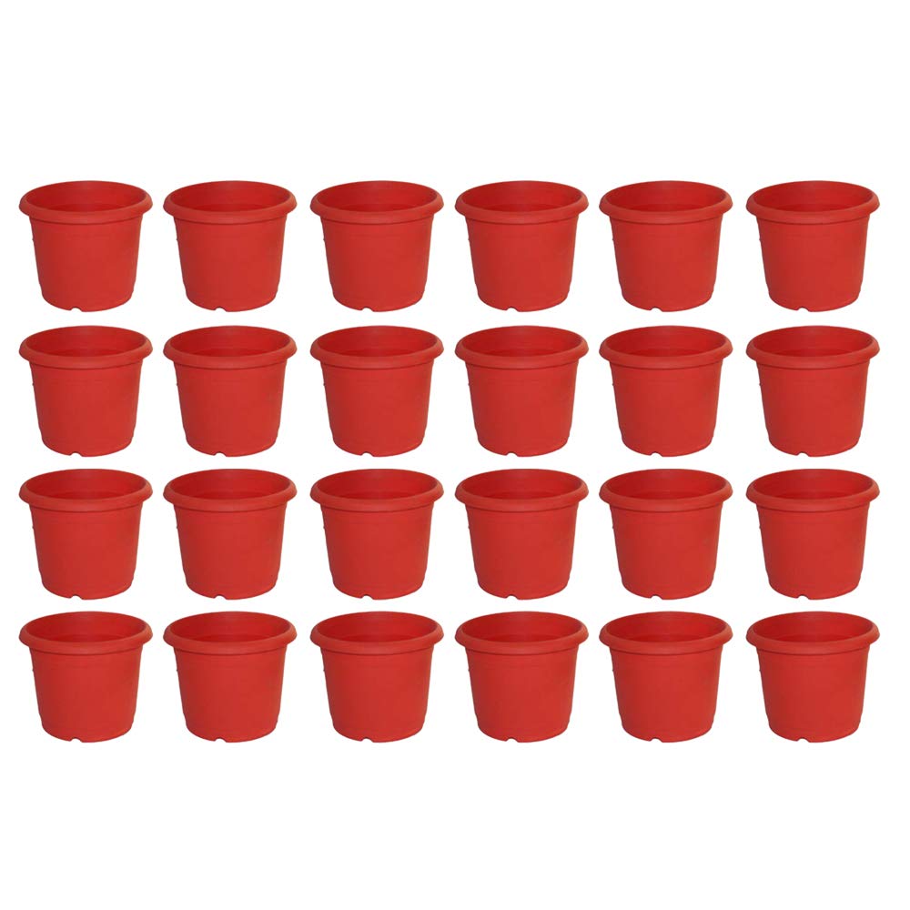 Synergy Plast Heavy Duty Plastic Round Shape Flower Pot (Red_6 Inch) - Pack of 24 (B07VD87T24) Amazon Price History, Amazon Price Tracker