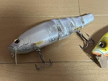 Amazon.co.jp: EVERGREEN エバーグリーン ROYAL FLASH Jr