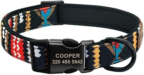 custom pitbull collars