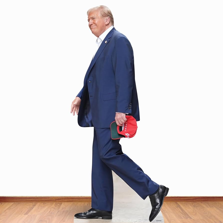 https://m.media-amazon.com/images/I/61HaVcQUCFL._UF894%2C1000_QL80_.jpg