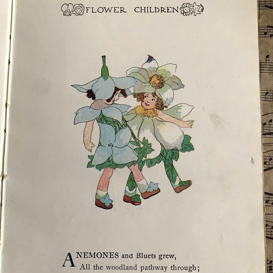 Amazon.co.jp: 1910年アンティーク愛らしい挿絵の絵本 洋書 古書 妖精 