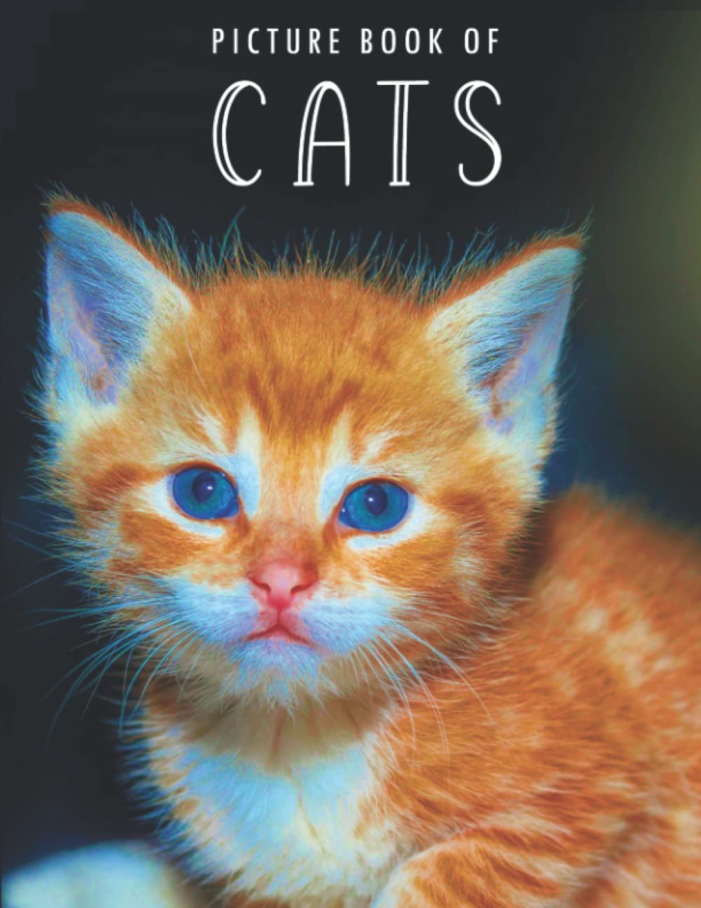 Picture Book of Cats: A colorful Large Print Gift book for Alzheimer's Patients and Seniors with Dementia. (Colorful Picture Books for Alzheimer's Patients and Seniors with Dementia)