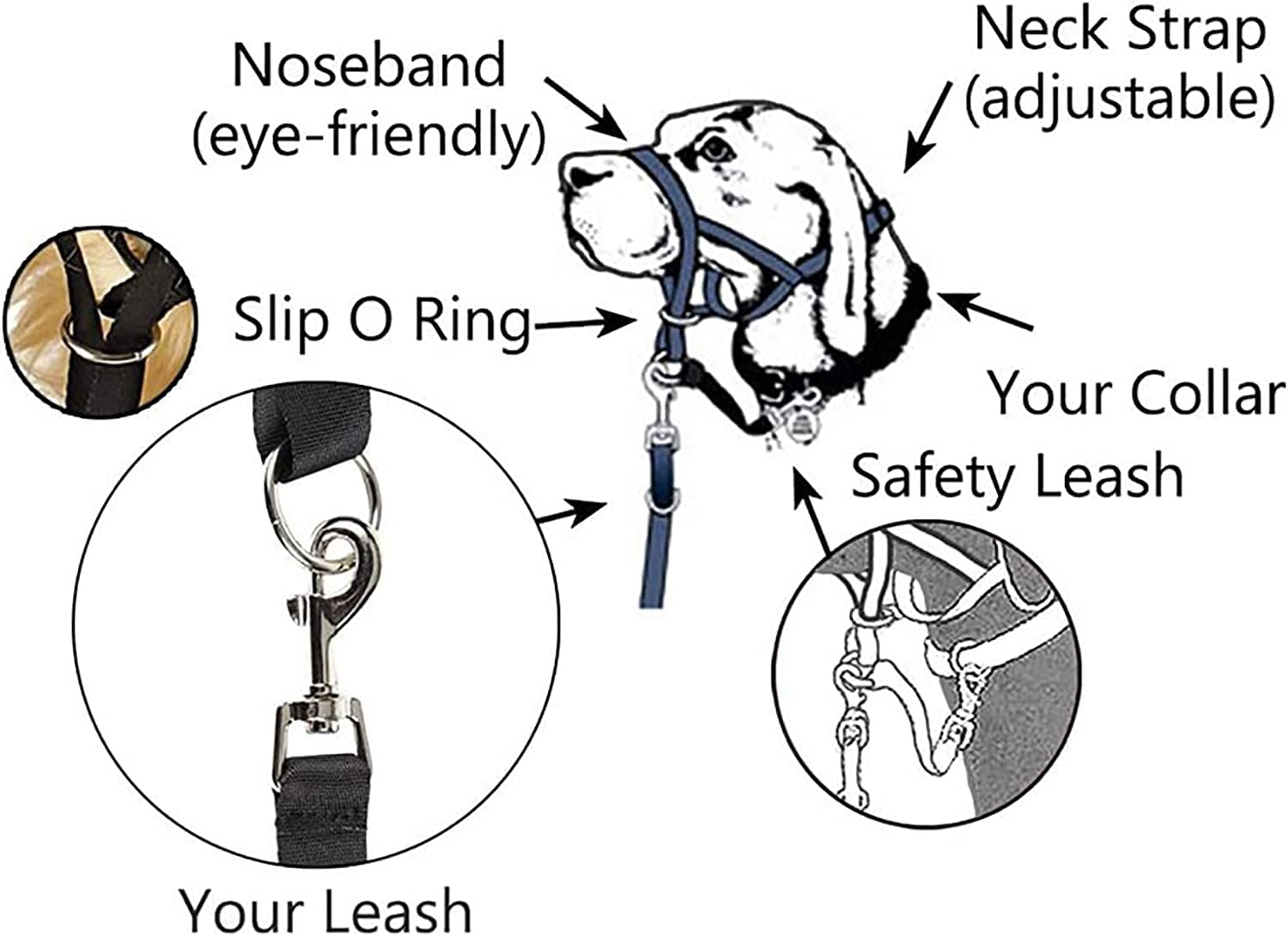 Licol pour Chien,Le Collier Anti-Traction de Dressage pour Chiens,Outil de Dressage pour Chien,Harnais Professionnel pour Chien,Muselière pour Chien,Le Dressage du Chien,5 Tailles (XL)