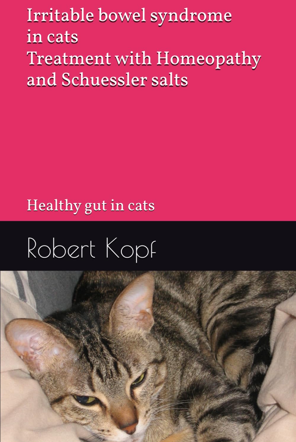 Irritable bowel syndrome in cats - Treatment with Homeopathy and Schuessler salts: Healthy gut in cats