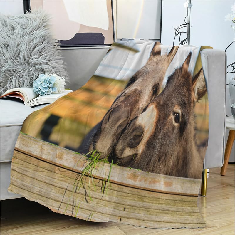 Decke Sofa Esel Kuscheldecke Flauschig 150x200 cm - Weich und Warme Fleecedecke für Bett Couch - Wohndecke als Couchdecke Bettüberwurf Tagesdecke Campingdecke Tier
