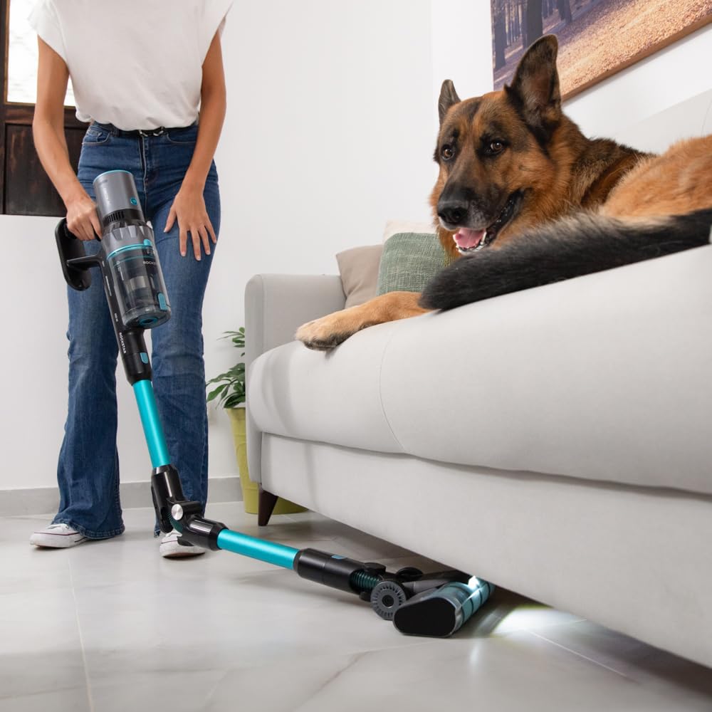 Cecotec Aspirapolvere Scopa Elettrica Senza Fili Conga Rockstar 2500 Thunder Flex Animal, Ciclone Parallelo, 400W, 30Kpa,122Aw, 65Min Auton, Tubo Flessibile, Spazzola Jalisco/Accessorio Animali