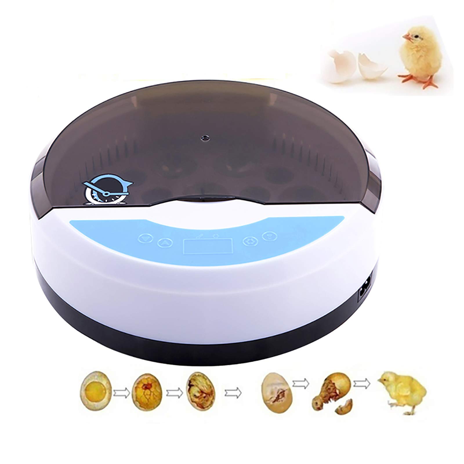 Machine d'éclosion automatique pour sauver les oeufs abandonnés de poulets et d'oiseaux
